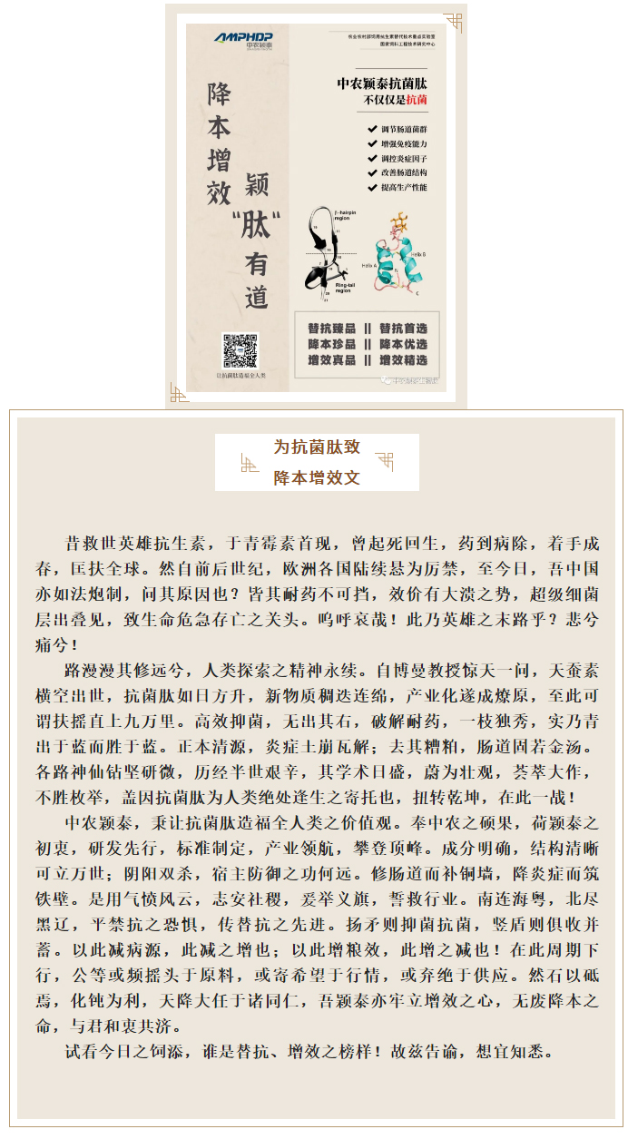 降本增效，穎“肽”有道——抗菌肽降低飼料營養(yǎng)水平應用方案_01